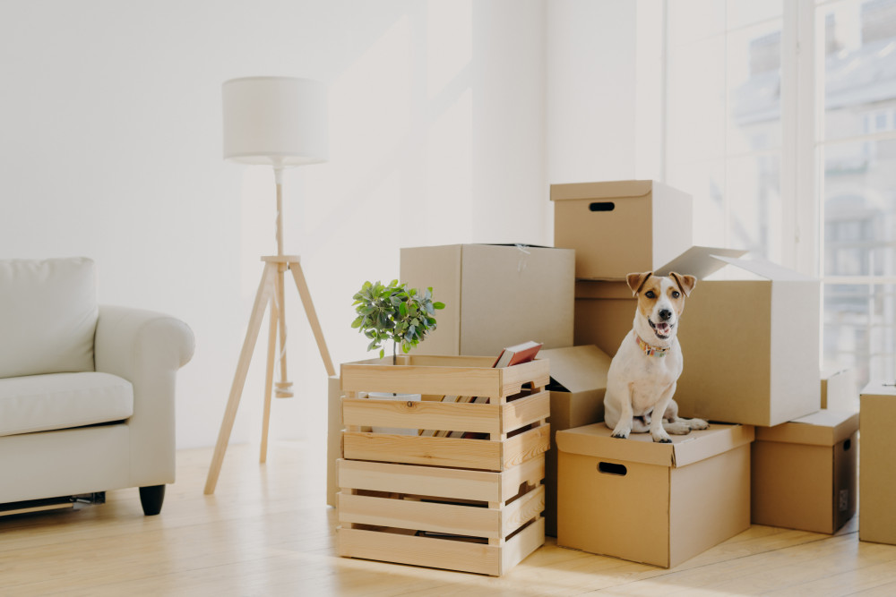 Déménager à l'étranger : les clés pour réussir une expatriation
